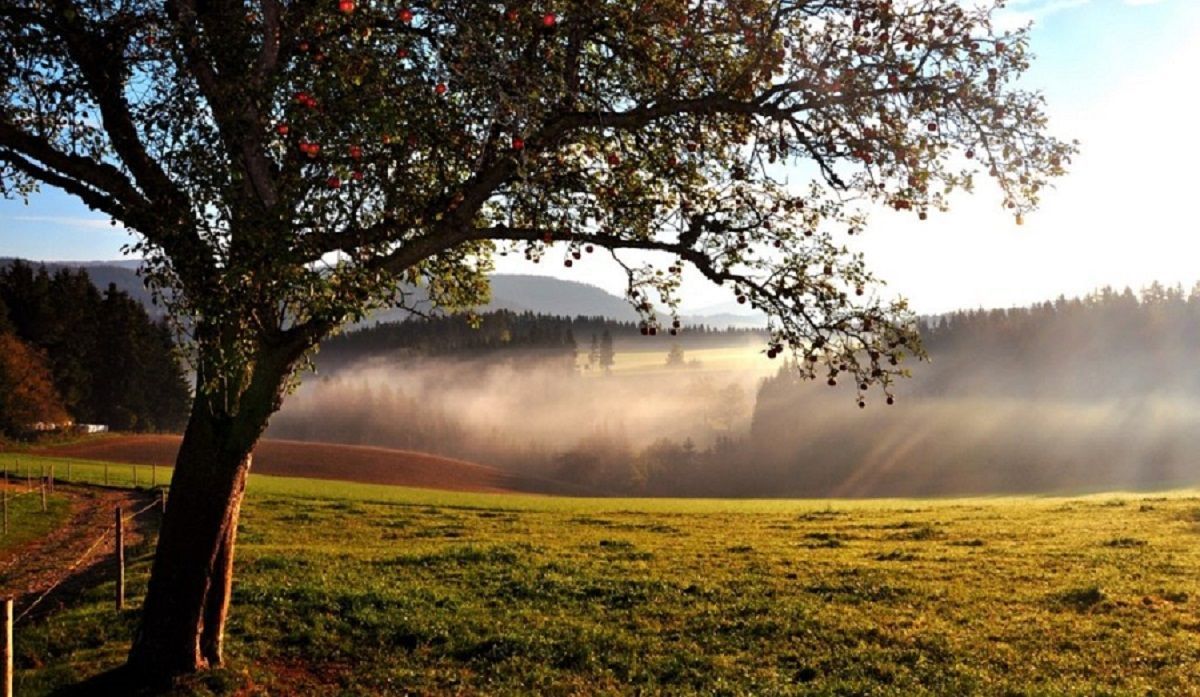 Погода 19 октября 2019 Украина - прогноз погоды от синоптика Погода 19 октября 2019 Украина - прогноз погоды от синоптика