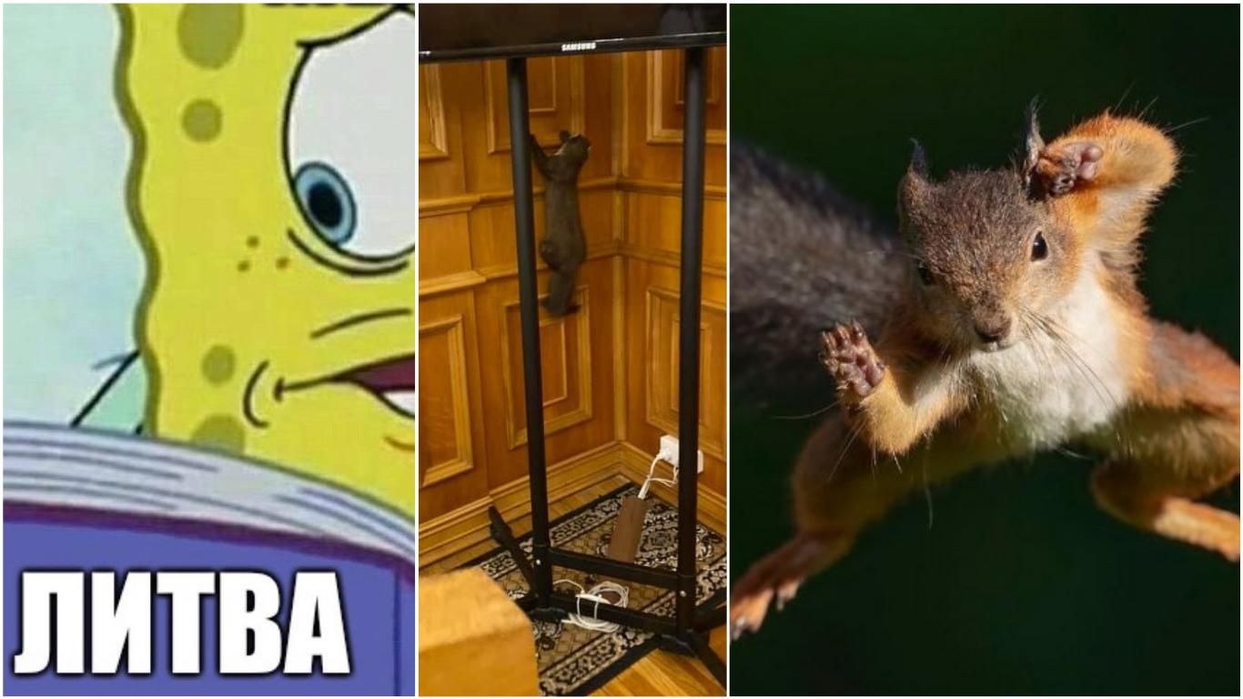 Найсмішніші меми тижня: Литволатвія, куниця в Раді та білка-кунфу Найсмішніші меми тижня: Литволатвія, куниця в Раді та білка-кунфу