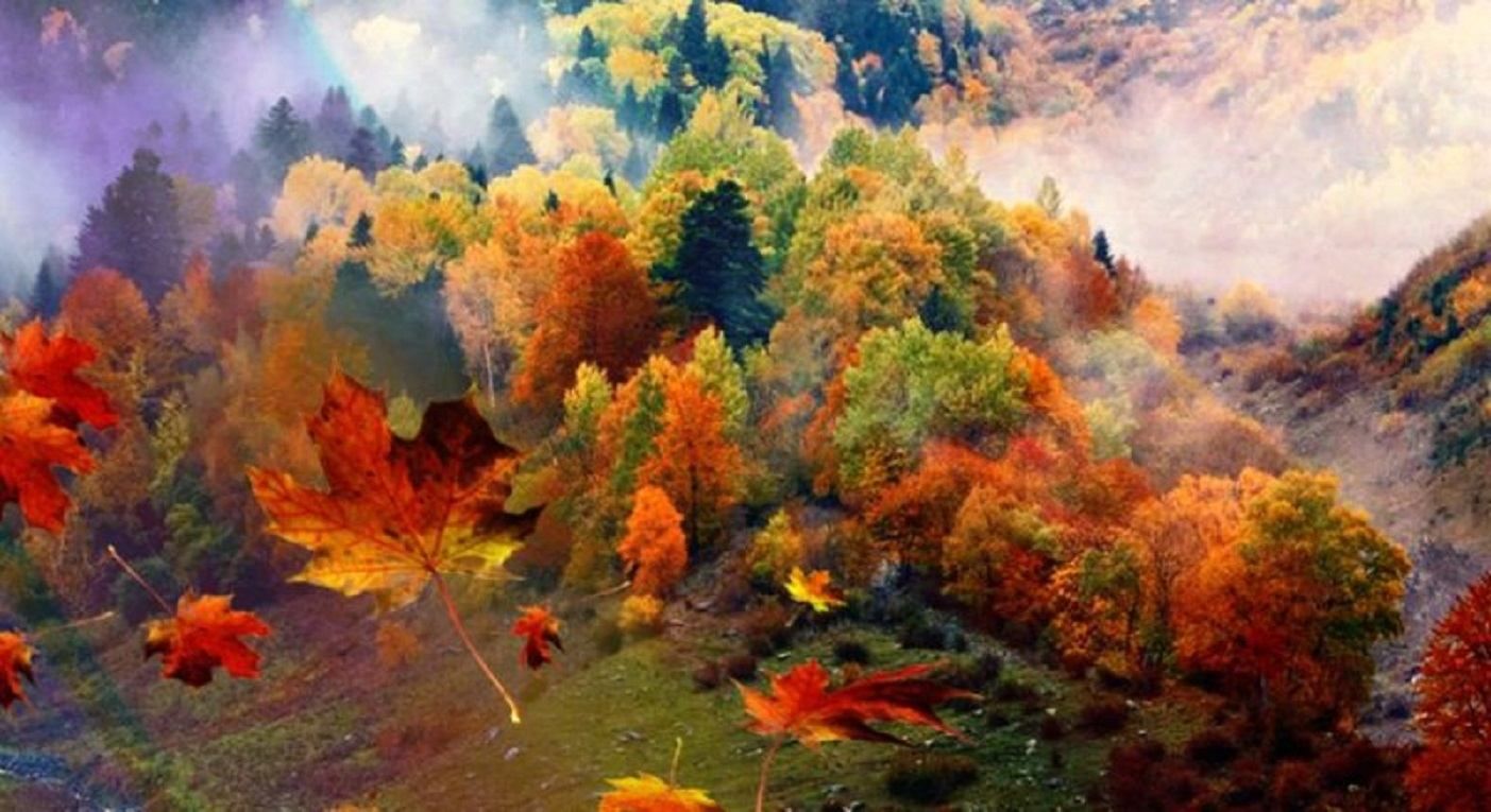 Погода 22 жовтня 2019 Україна – прогноз погоди синоптика Погода 22 жовтня 2019 Україна – прогноз погоди синоптика