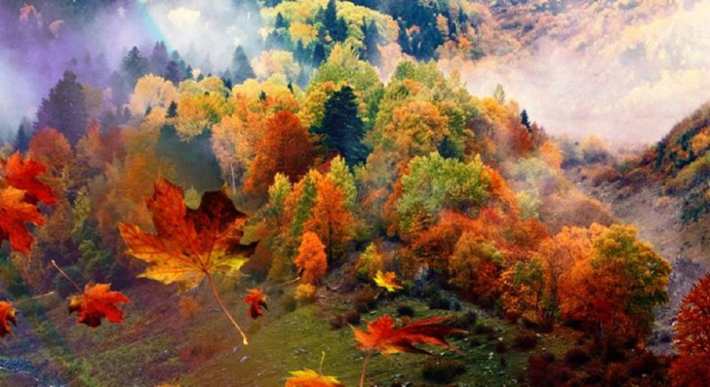 Погода 22 октября 2019 Украина – прогноз погоды синоптика