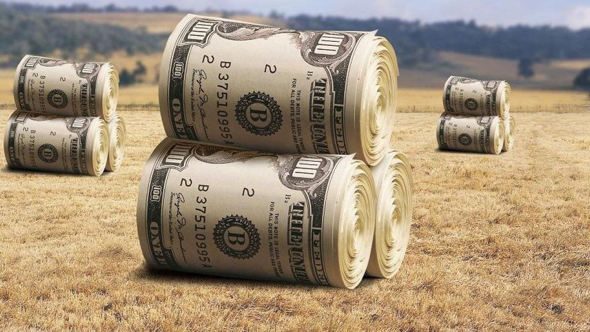 Иностранцы смогут покупать украинскую землю, – Гончарук Иностранцы смогут покупать украинскую землю, – Гончарук