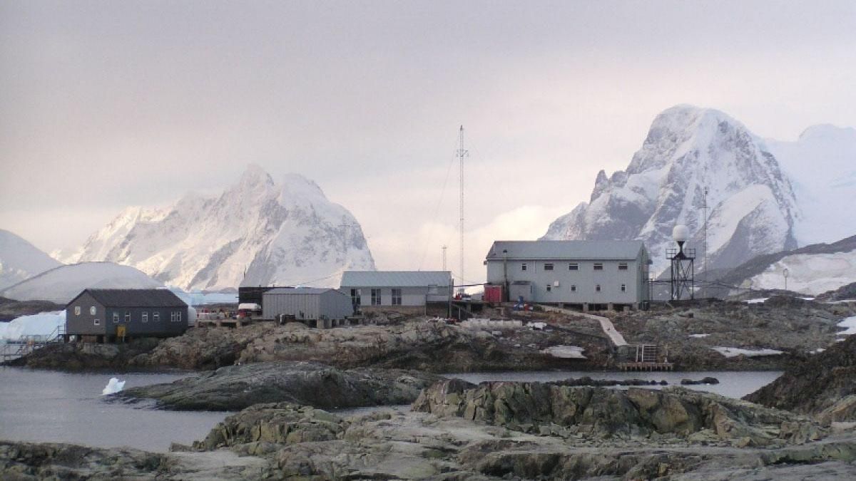 Українські вчені вивчають зміни клімату за допомогою пінгвінів – фото Українські вчені вивчають зміни клімату за допомогою пінгвінів – фото