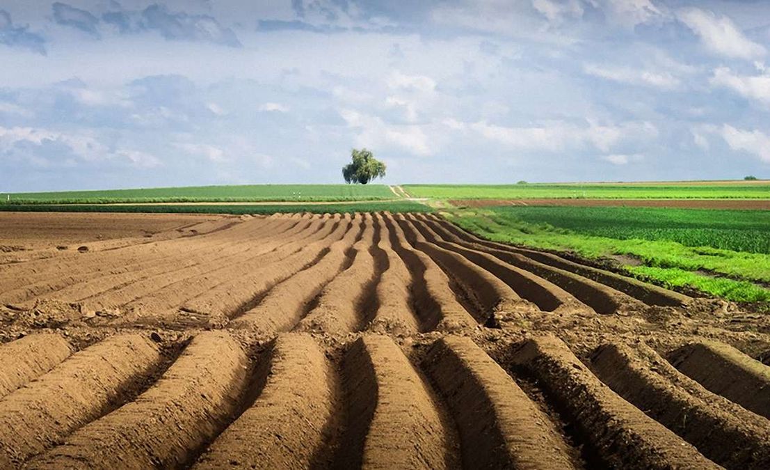В Україні запустили сайт про земельну реформу В Україні запустили сайт про земельну реформу
