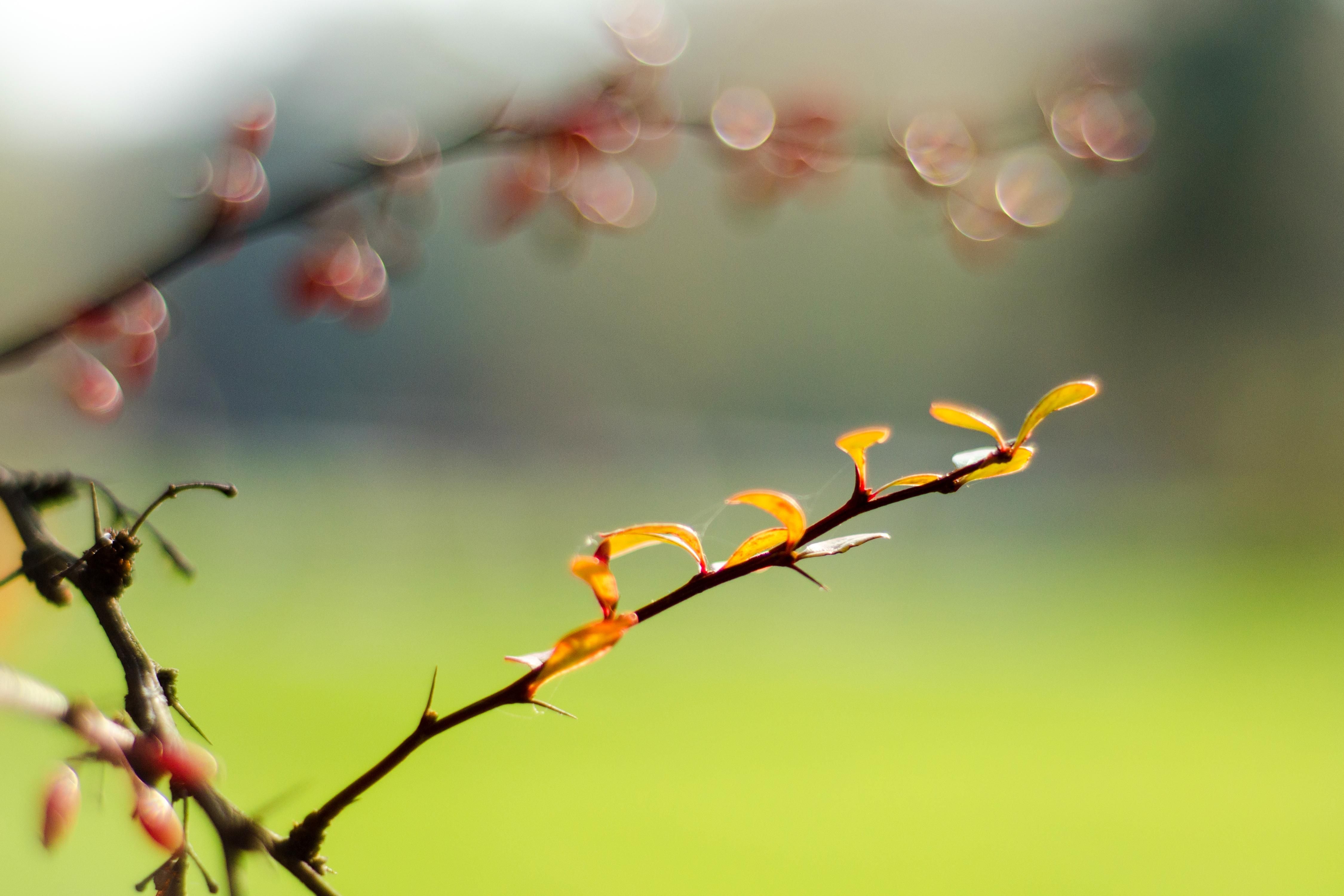 Погода 26 жовтня 2019 Україна: яку погоду обіцяють синоптики Погода 26 жовтня 2019 Україна: яку погоду обіцяють синоптики