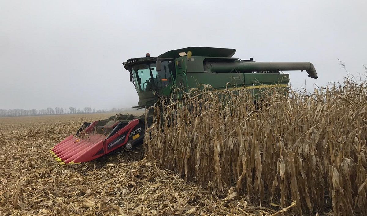 Конкурентні зарплати в агробізнесі залучають у галузь все більше молоді, – "Укрлендфармінг" Конкурентні зарплати в агробізнесі залучають у галузь все більше молоді, – "Укрлендфармінг"