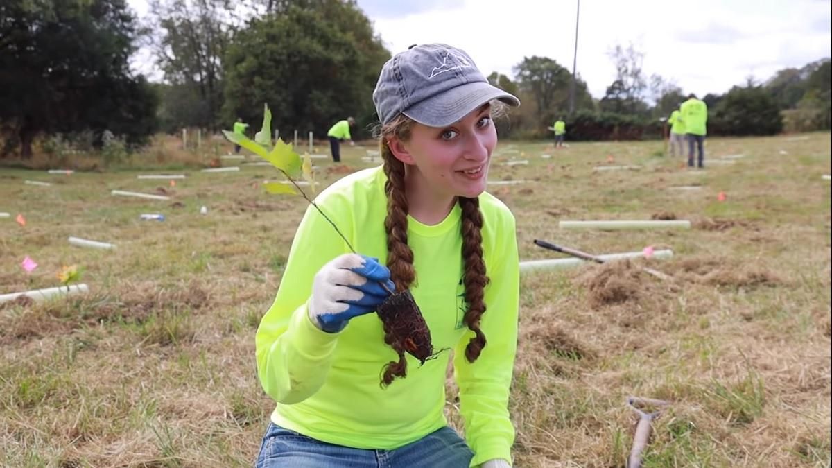 Сотні YouTube-блогерів об'єдналися, щоб посадити 20 мільйонів дерев Сотні YouTube-блогерів об'єдналися, щоб посадити 20 мільйонів дерев