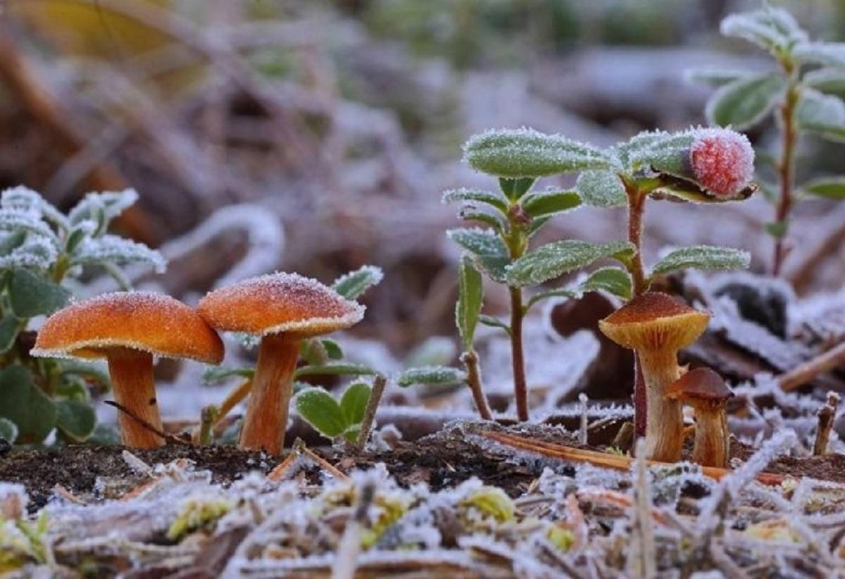 Погода 30 жовтня 2019 Україна: яку погоду обіцяє синоптик Погода 30 жовтня 2019 Україна: яку погоду обіцяє синоптик