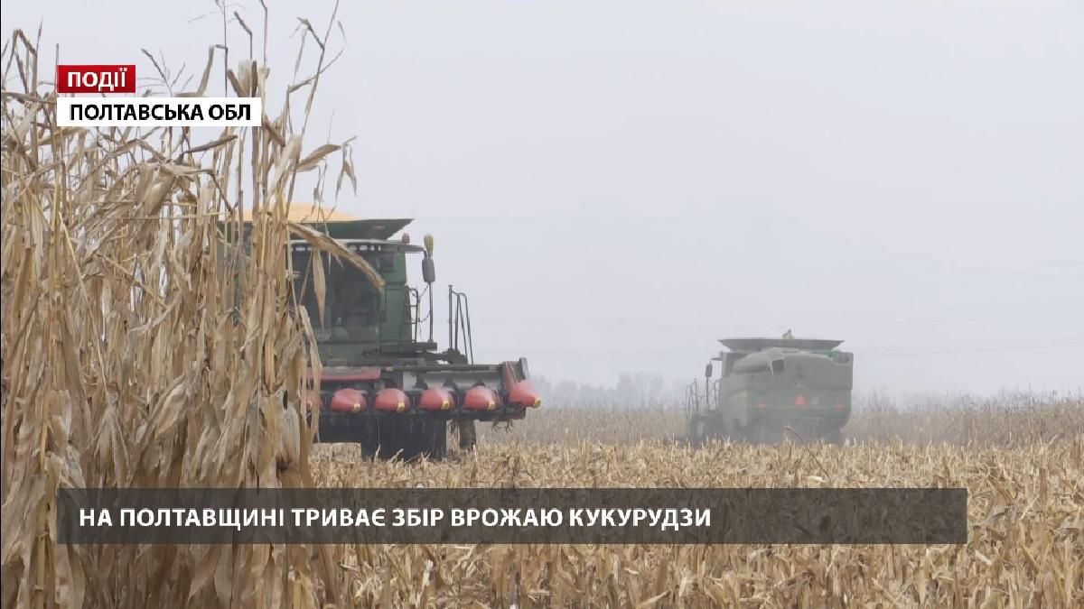 На Полтавщине продолжается сбор урожая кукурузы