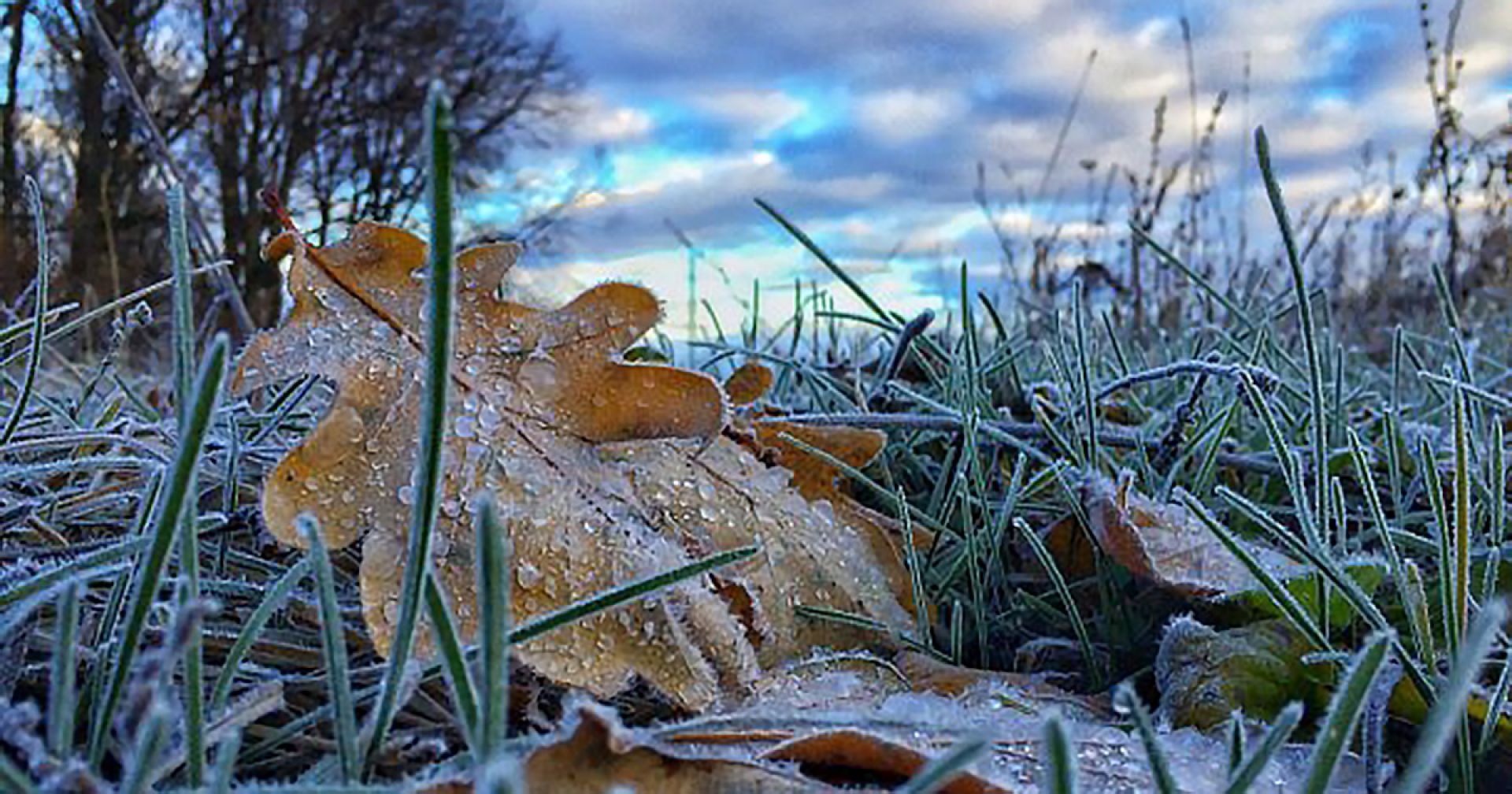 Погода 31 октября 2019 Украина: какую погоду обещает синоптик Погода 31 октября 2019 Украина: какую погоду обещает синоптик