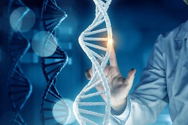 Експерименти з ДНК