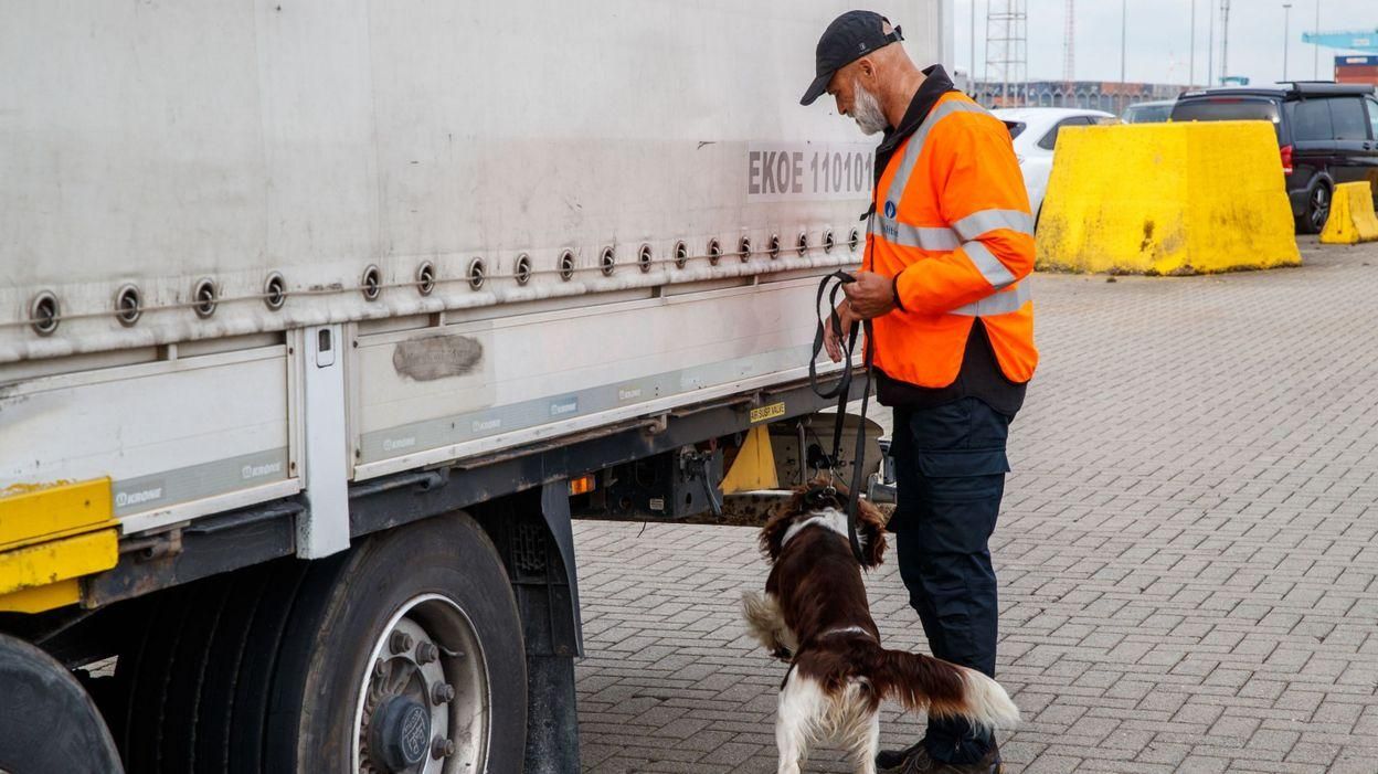 В Бельгии нашли 12 мигрантов в фуре-рефрижераторе В Бельгии нашли 12 мигрантов в фуре-рефрижераторе