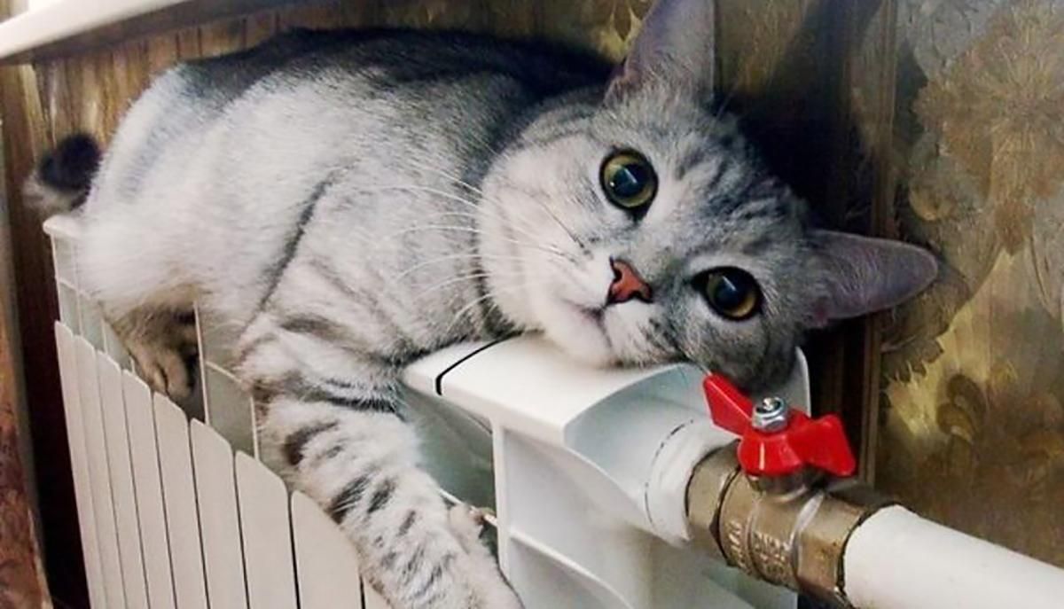 Отопительный сезон в Днепре оказался под угрозой срыва Отопительный сезон в Днепре оказался под угрозой срыва