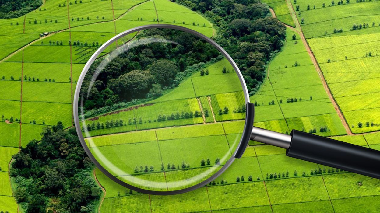 Половину государственной земли разворовали, ее будут возвращать правоохранители, – Милованов Половину государственной земли разворовали, ее будут возвращать правоохранители, – Милованов