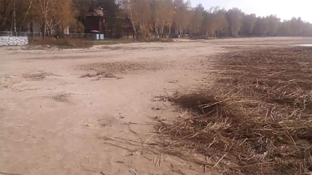 Озеро Світязь зменшилося 2019: фото і критичний стан Світязя Озеро Світязь зменшилося 2019: фото і критичний стан Світязя