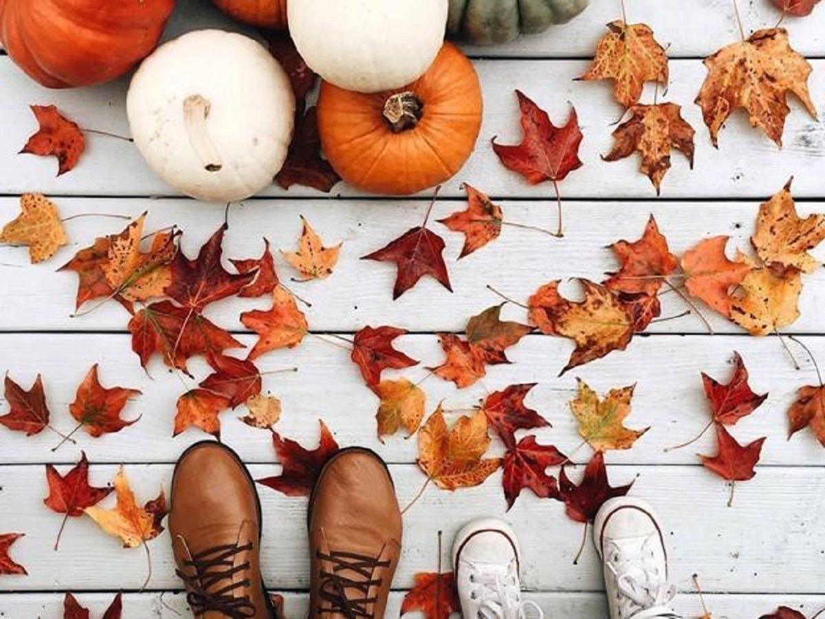 Погода 3 ноября 2019 Украина: какую погоду обещает синоптик Погода 3 ноября 2019 Украина: какую погоду обещает синоптик