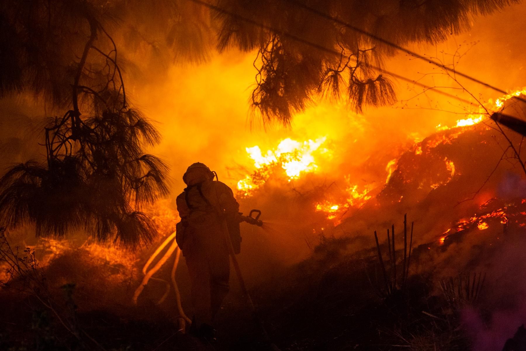 Лісові пожежі охопили Бразилію, 50 кілометрів у вогні: моторошні фото