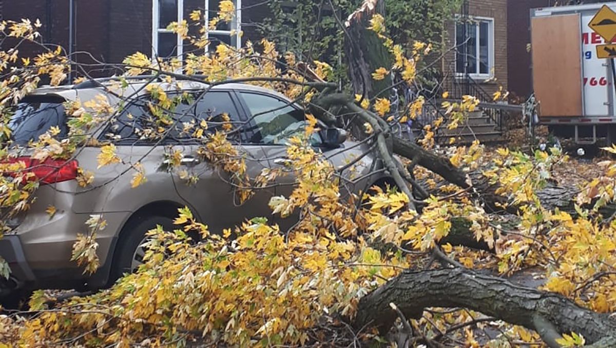 Повалені дерева, будинки та перші жертви: фото, відео буревію у Канаді Повалені дерева, будинки та перші жертви: фото, відео буревію у Канаді
