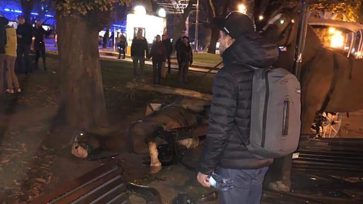 У центрі Львова коні знесли лавку на тротуарі: є потерпілі, також постраждала тварина  – відео 