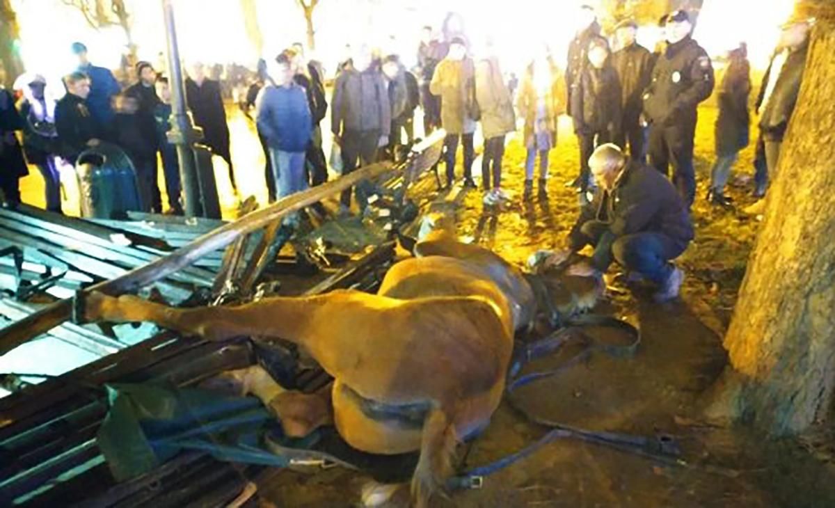 Коні знесли лавку в центрі Львова: кобила зламала дві ноги, тварину приспали