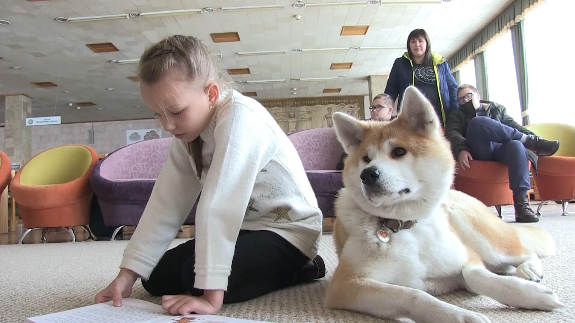 Уникальный четвероногий тренер: как собака помогает детям читать Уникальный четвероногий тренер: как собака помогает детям читать