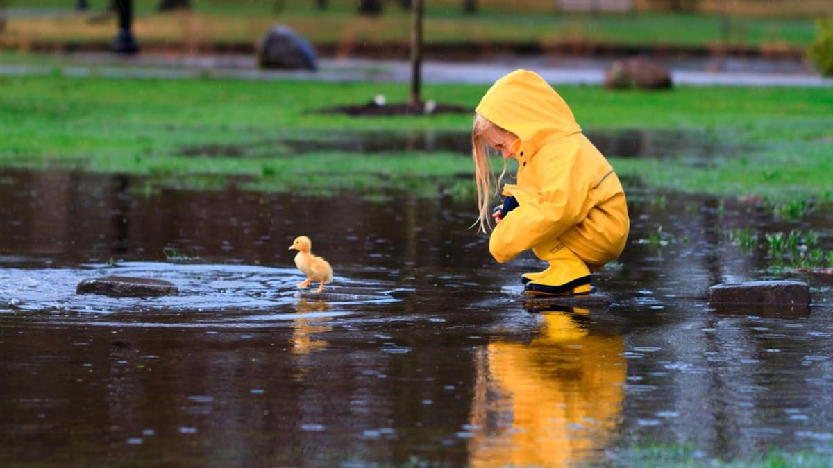 Погода 6 ноября 2019 Украина: какую погоду обещает синоптик Погода 6 ноября 2019 Украина: какую погоду обещает синоптик