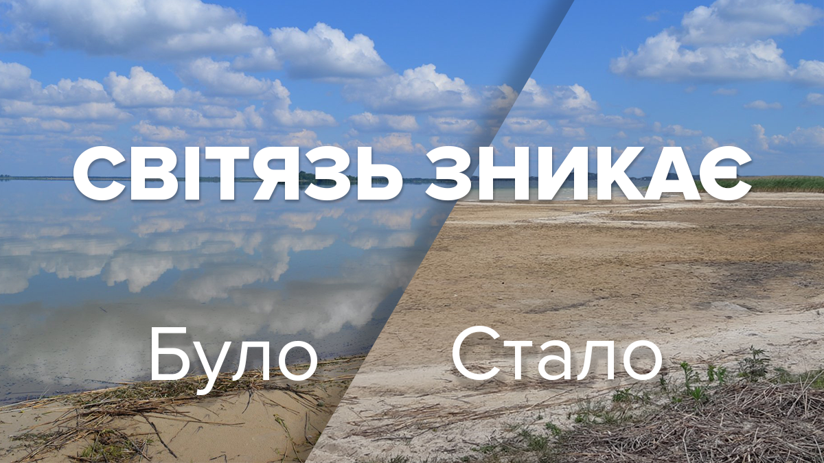 Озеро Світязь міліє: причини та наслідки осушення 2019 найглибшого озера України