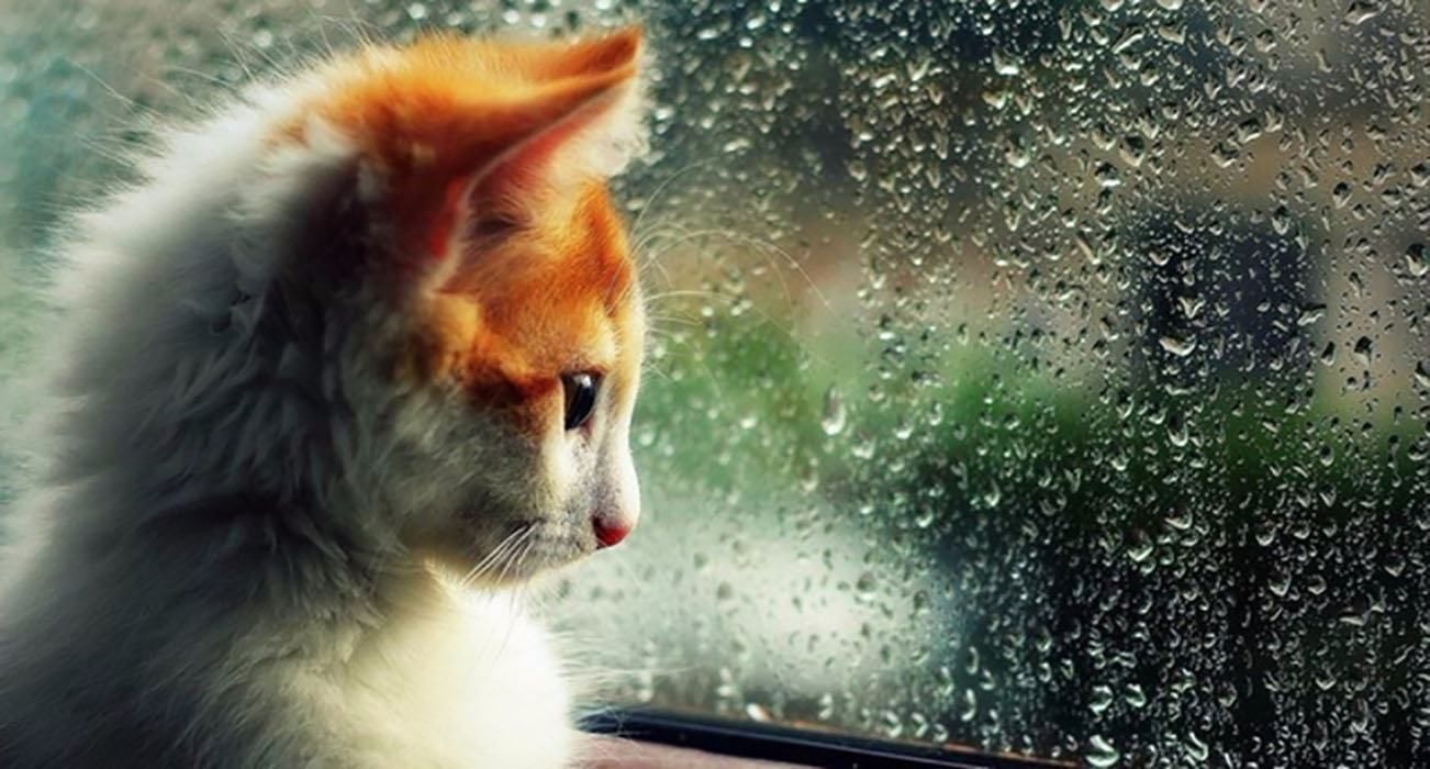 Погода 7 ноября 2019 Украина: какую погоду обещает синоптик Погода 7 ноября 2019 Украина: какую погоду обещает синоптик