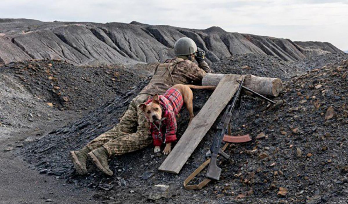 Что происходит на позициях украинских бойцов на Донбассе после разведения войск: фото