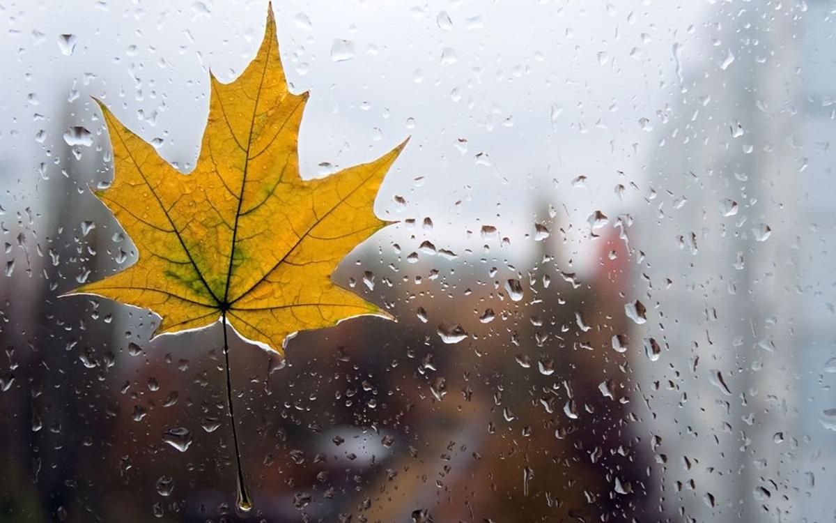 Погода 8 листопада 2019 Україна: синоптик обіцяє дощ