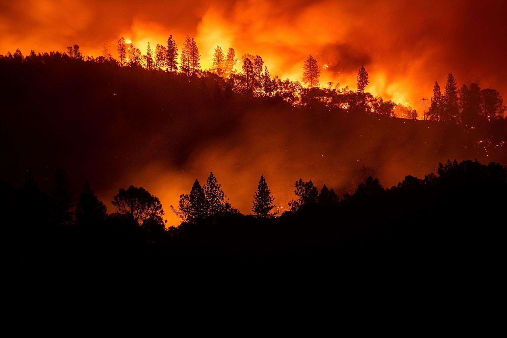 Фото дня: последствия пожаров в Калифорнии показали из космоса