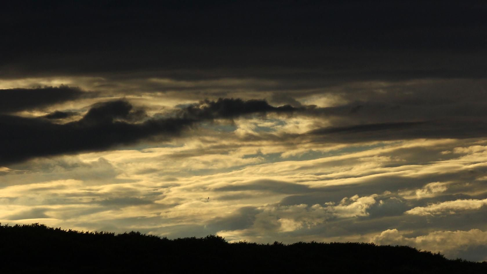 Погода 10 листопада 2019 Україна: яку погоду обіцяє синоптик Погода 10 листопада 2019 Україна: яку погоду обіцяє синоптик