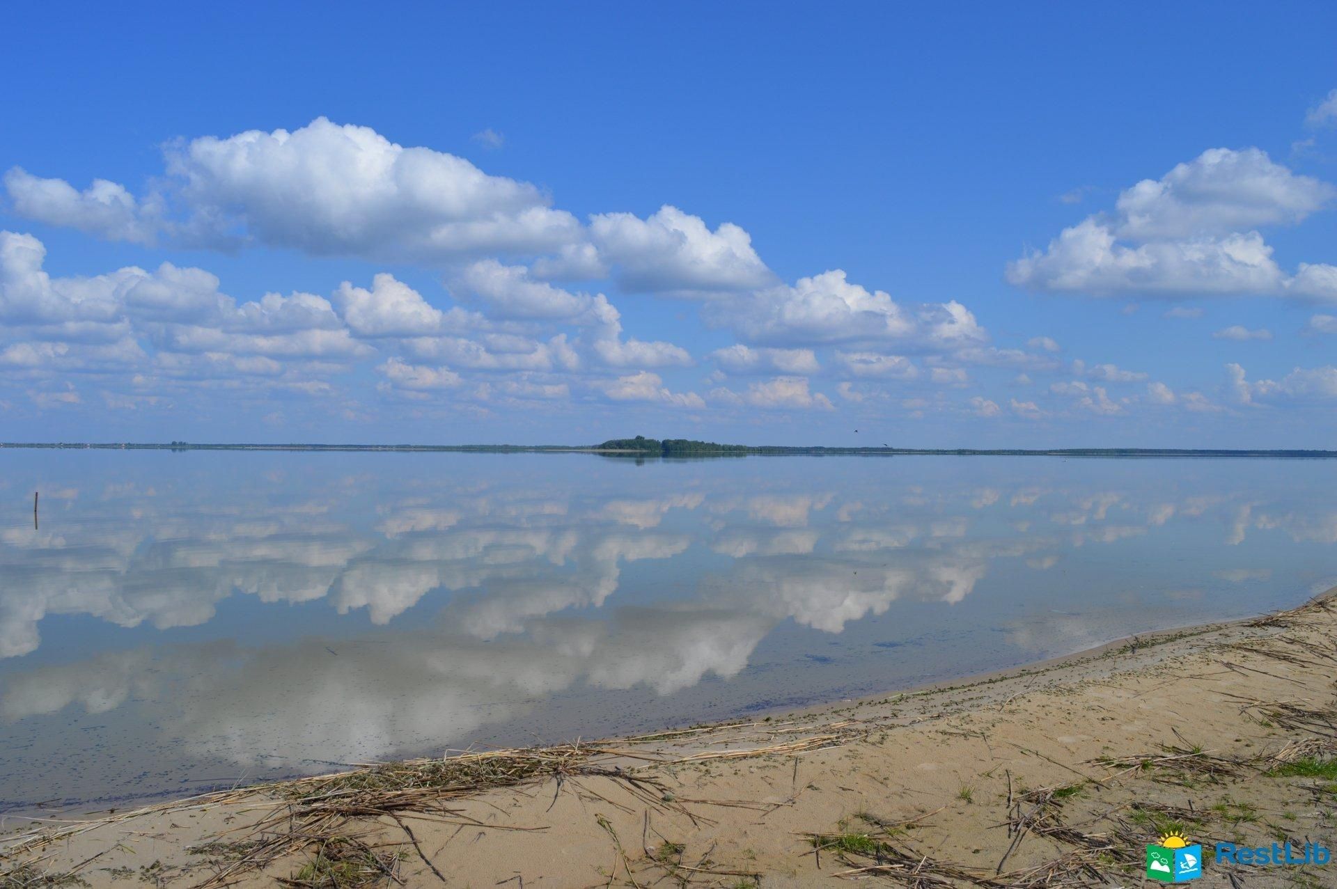 Чому Світязь міліє: пояснення Шацького природного парку