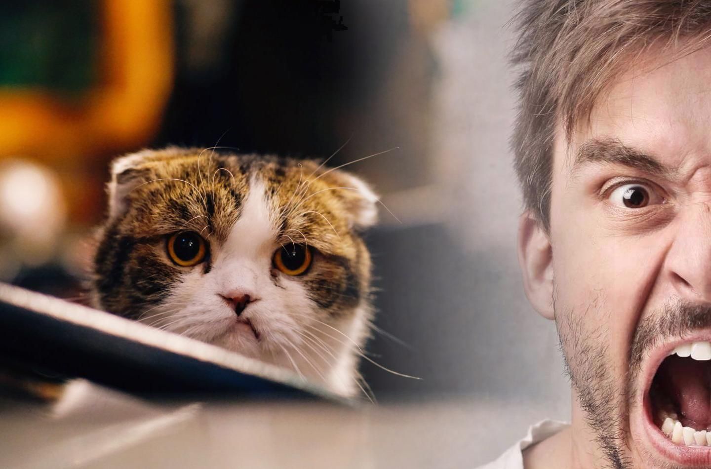 Как не раздражать коллег в рабочих чатах во время карантина: 10 правил Как не раздражать коллег в рабочих чатах во время карантина: 10 правил