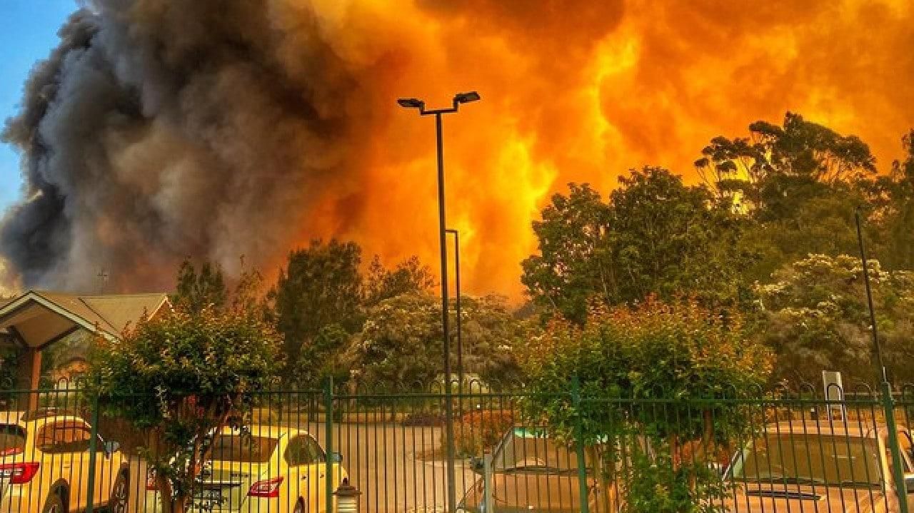 Масштабні пожежі в Австралії, кількість жертв зросла: моторошні фото та відео