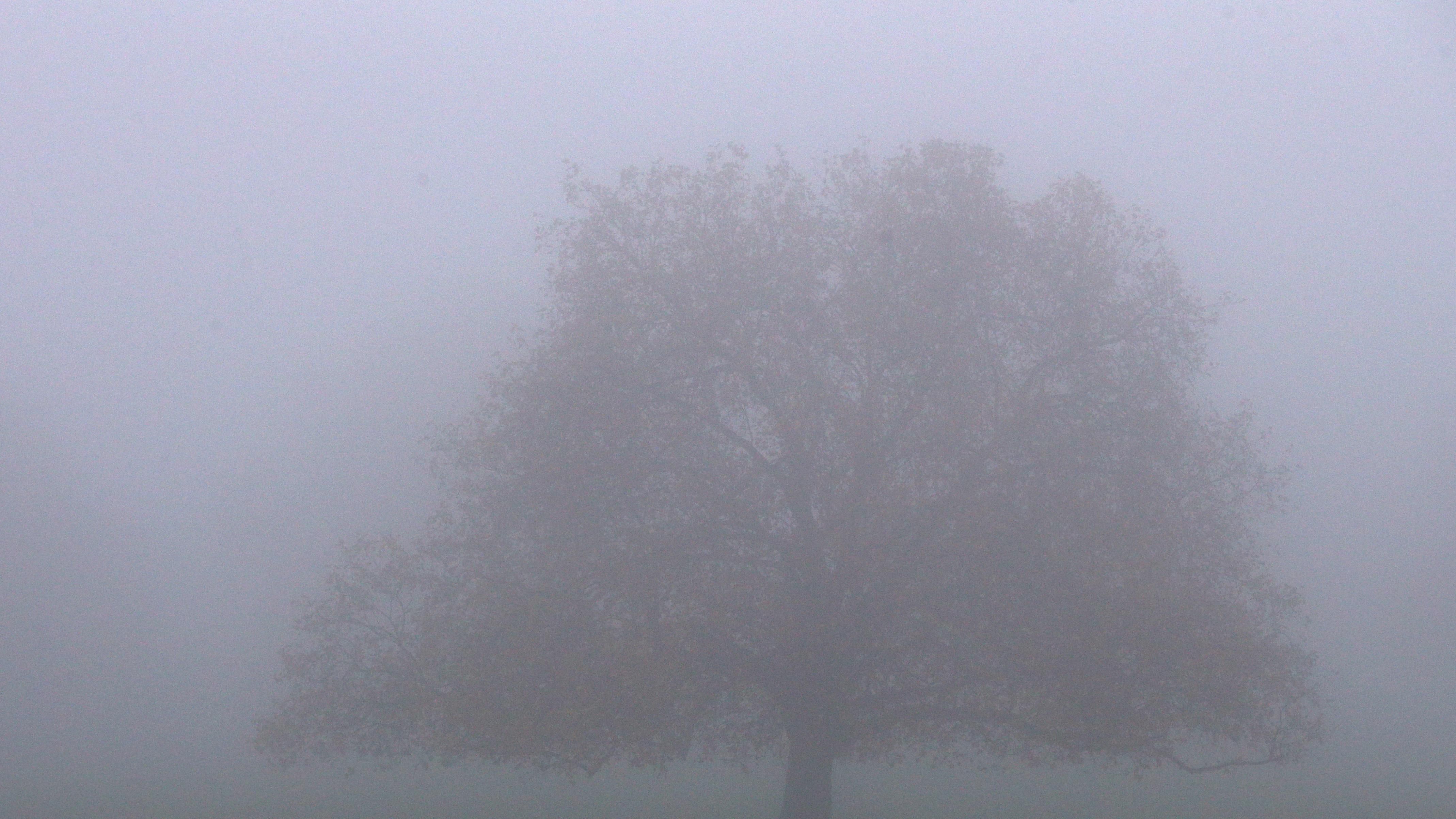 Туман в Україні: надзвичайники попередили про погіршення видимості Туман в Україні: надзвичайники попередили про погіршення видимості