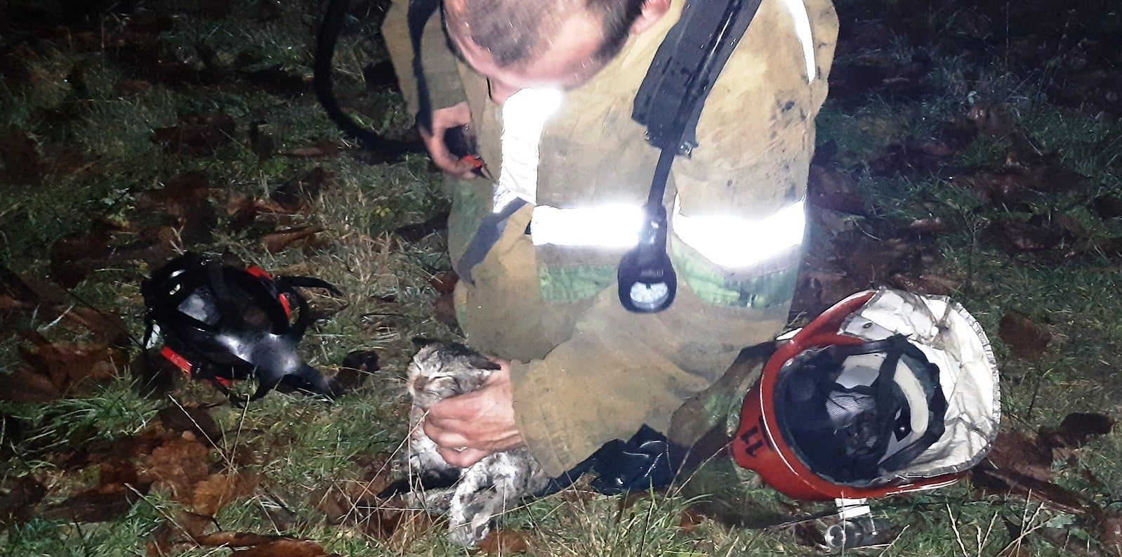 Рятувальники витягли з вогню крихітне кошеня: зворушливі фото