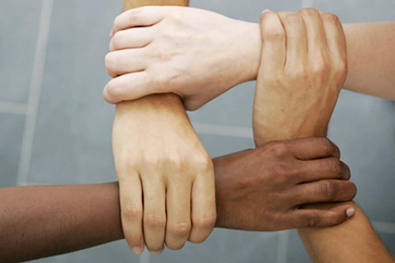 Как Украина противодействует расизму: эксперт о политике государства Как Украина противодействует расизму: эксперт о политике государства