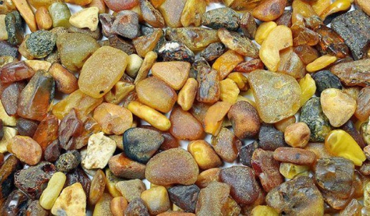 Легалізація видобутку бурштину - законопроєкт ухвалили - що передбачає Легалізація видобутку бурштину - законопроєкт ухвалили - що передбачає