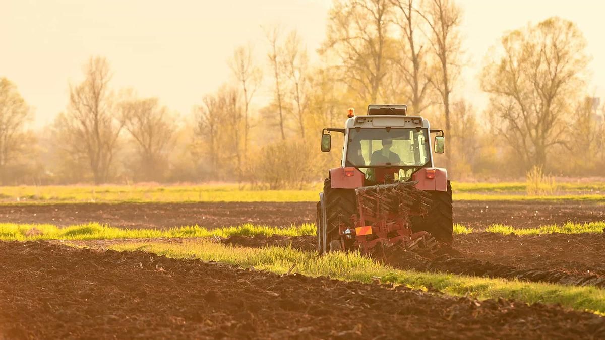 Скільки коштуватиме гектар після запровадження ринку землі Скільки коштуватиме гектар після запровадження ринку землі