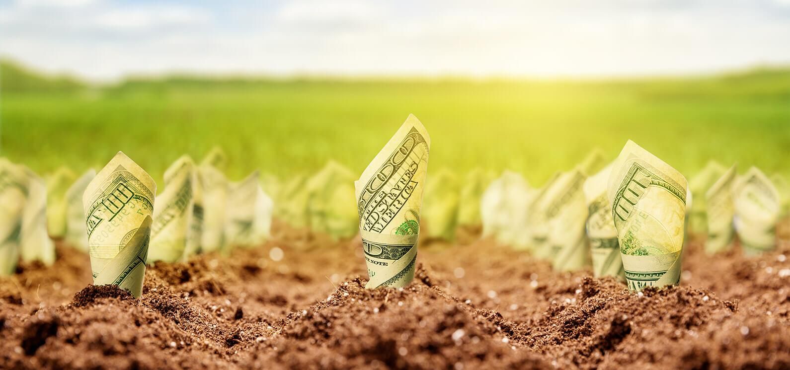 Требование МВФ или большая прибыль: почему Украине нужно открыть рынок земли Требование МВФ или большая прибыль: почему Украине нужно открыть рынок земли