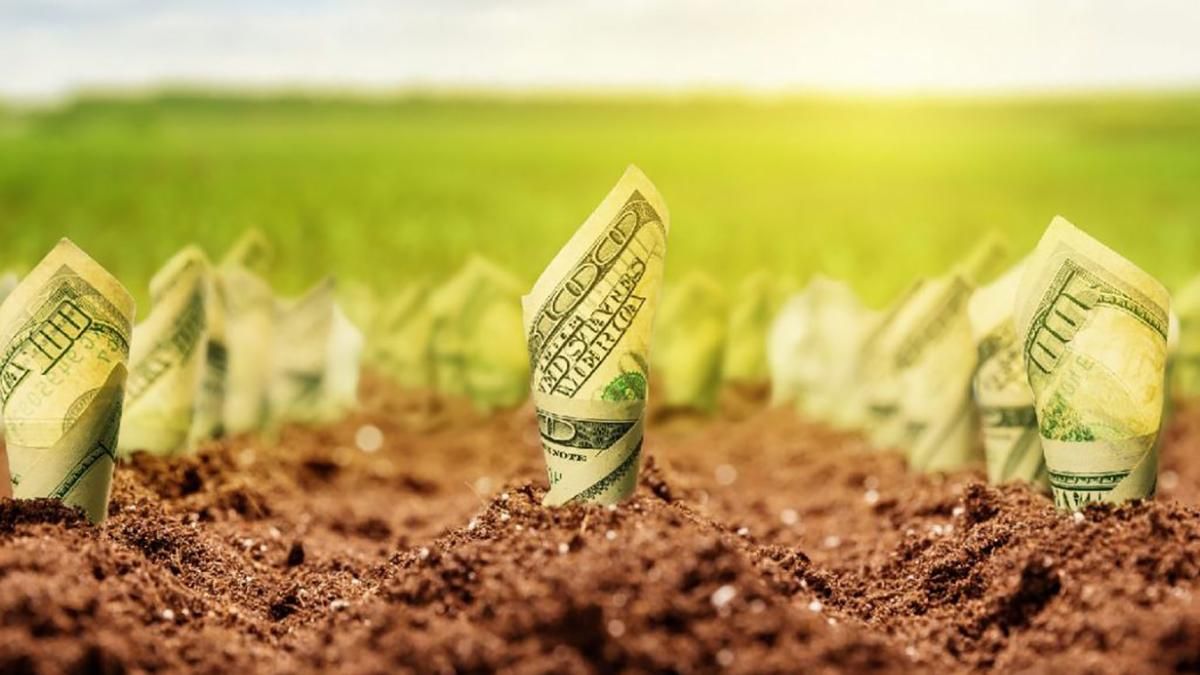 Закон №2178-10 о рынке земли 2020 поддержала Рада – детали Закон №2178-10 о рынке земли 2020 поддержала Рада – детали