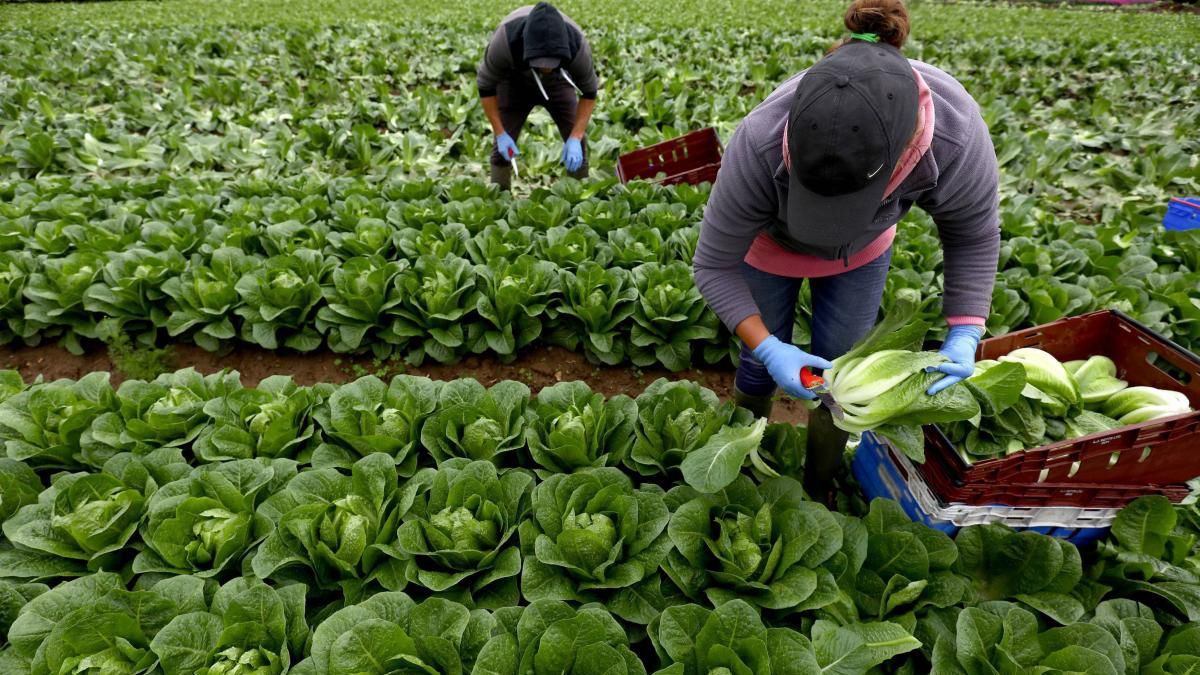 В Польше посчитали количество украинских заробитчан В Польше посчитали количество украинских заробитчан