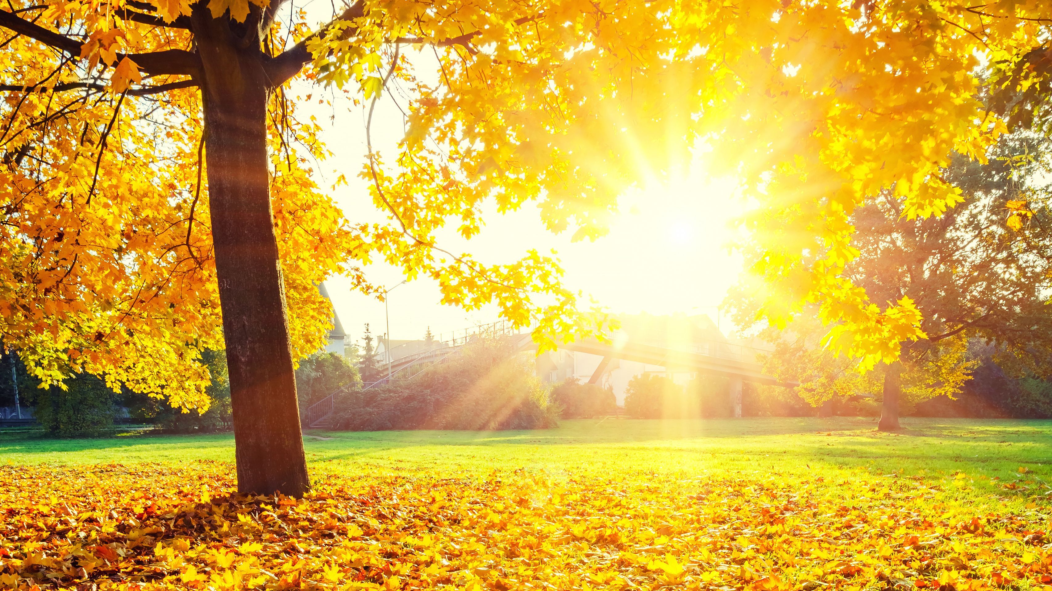 Погода 14 ноября 2019 Украина – какую погоду обещает синоптик Погода 14 ноября 2019 Украина – какую погоду обещает синоптик