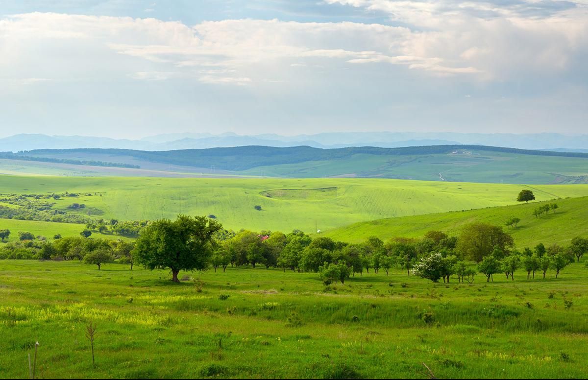 В Украине выведут из госсобственности земли за пределами НП и ликвидируют Госгеокадастр В Украине выведут из госсобственности земли за пределами НП и ликвидируют Госгеокадастр