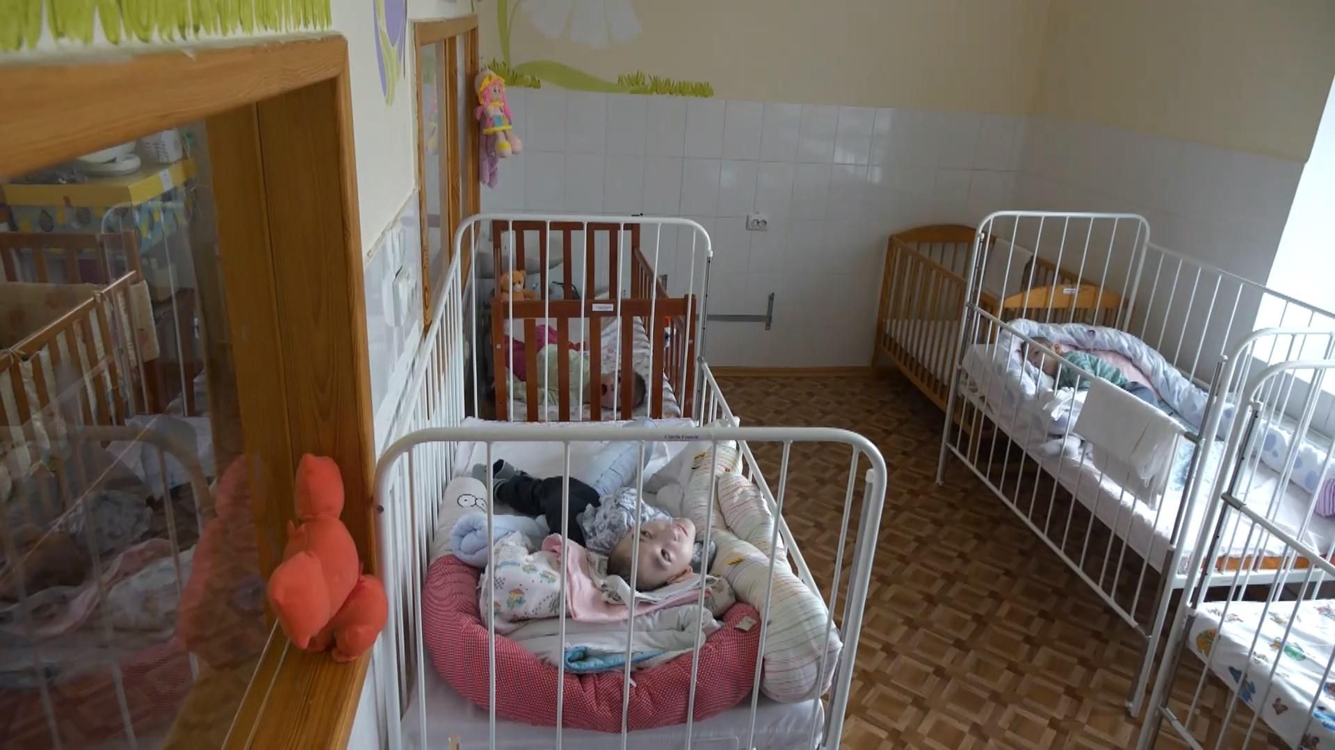 Харьковчанин создает приют европейского образца: нужна помощь Харьковчанин создает приют европейского образца: нужна помощь