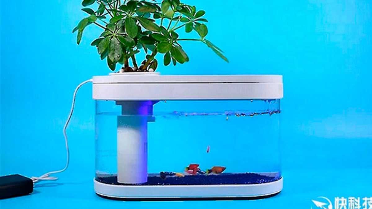 Акваріум і горщик: Xiaomi випустила дещо дивний девайс Акваріум і горщик: Xiaomi випустила дещо дивний девайс