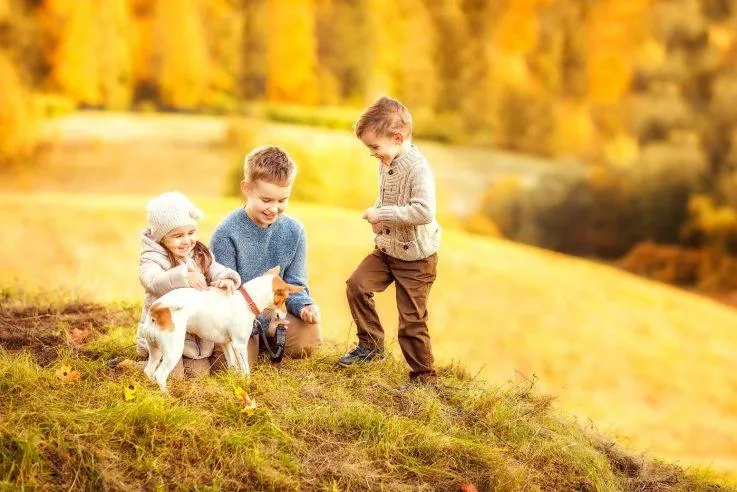 Фото дітей з домашніми тваринами виглядають дуже щиро Фото дітей з домашніми тваринами виглядають дуже щиро