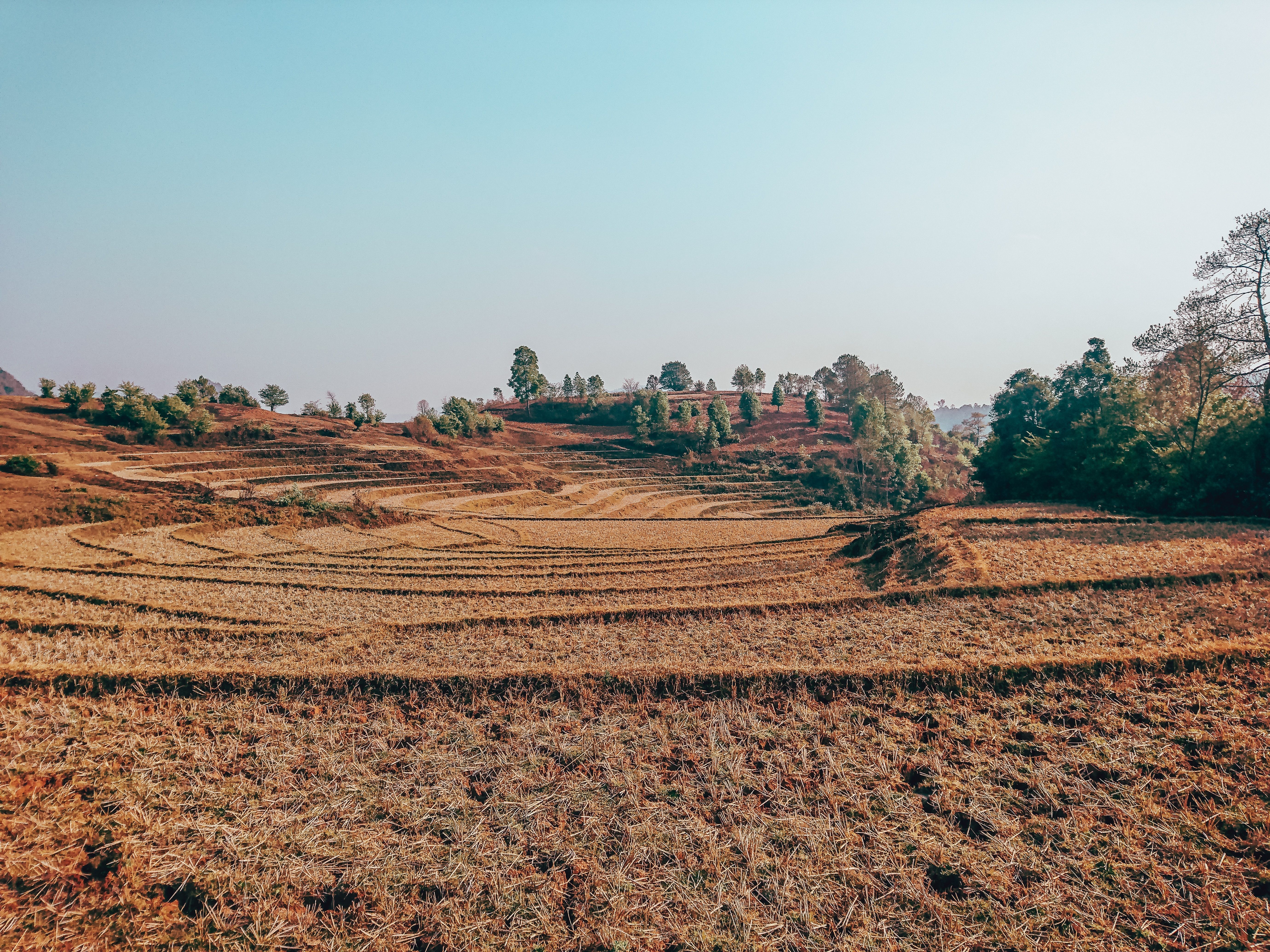 Який ринок землі пропонують "слуги народу": головні проблеми законопроєкту Який ринок землі пропонують "слуги народу": головні проблеми законопроєкту