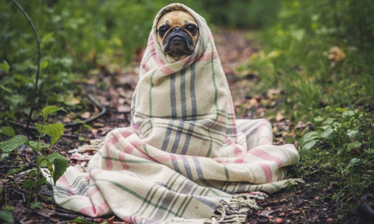 Погода 21 ноября 2019 Украина – похолодание и мороз Погода 21 ноября 2019 Украина – похолодание и мороз