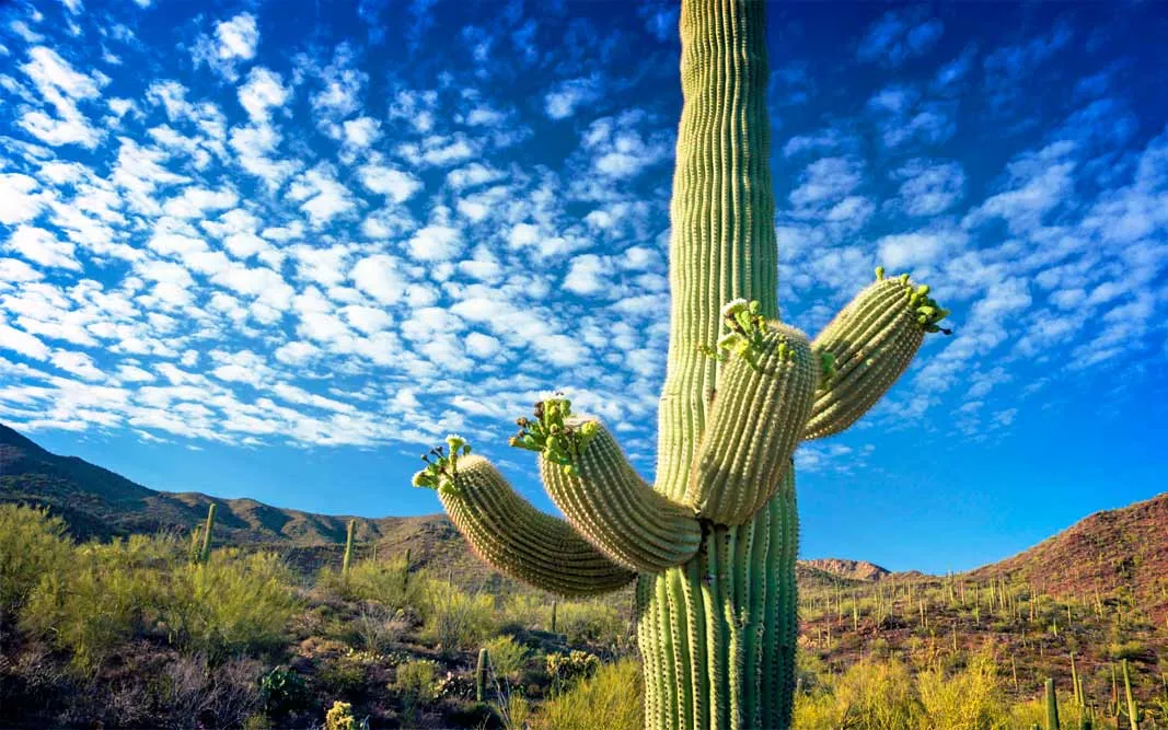 Найпопулярніші країни 2019 року Найпопулярніші країни 2019 року